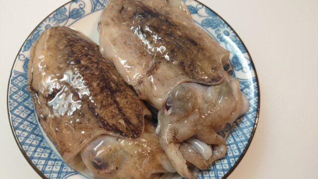 10月10日発売予定 新潟名物 柿の種の天ぷら 阿部幸製菓天ぷら サクサク おつまみ おやつ シェア にんにくラー油風味 -ご飯のお供のお取り寄せ・ギフト阿部幸製菓株式会社