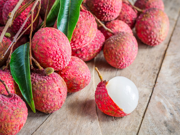 2025年発送 奄美大島産 ドラゴンフルーツ赤 約3kg 6～10玉入鹿児島県 奄美群島 奄美大島 龍郷町 国産 奄美産 青果 果実 果物くだもの フルーツ デザート ピタヤ 火龍果 南国 トロピカル お取り寄せ 先行予約 期間限定 数量限定マイナビふるさと納税