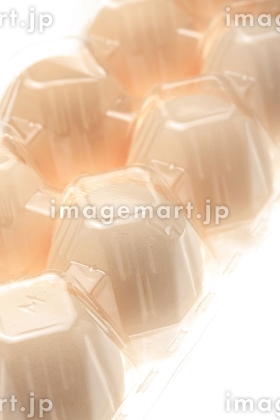 ニシン産卵藻場の発見 中央水産試験場 北海道立総合研究機構