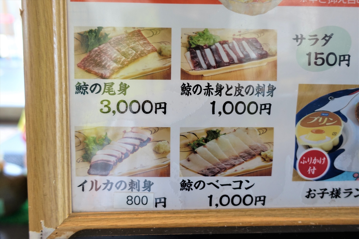 氷あげる。と見せかけて食べるルナ。 ,ルナ子供イルカバンドウイルカ,海響館 水族館 山口 山口県 下関 下関市 aquarium Japan instagramJapan ig_japan instajapan instagood 広がり同盟 kaikyokan