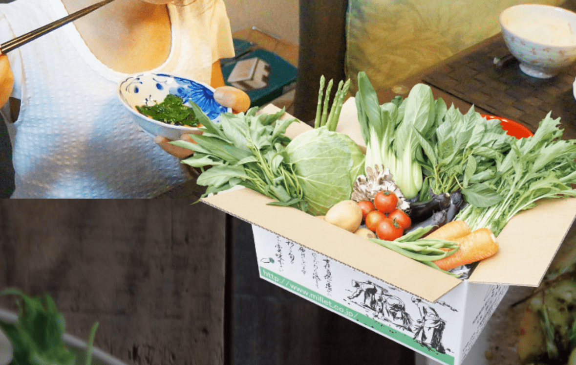 有機野菜 ビオ・マルシェの宅配