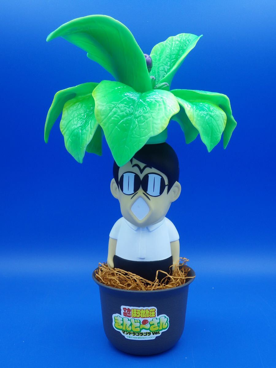 ミステリ・トシ: 京の空