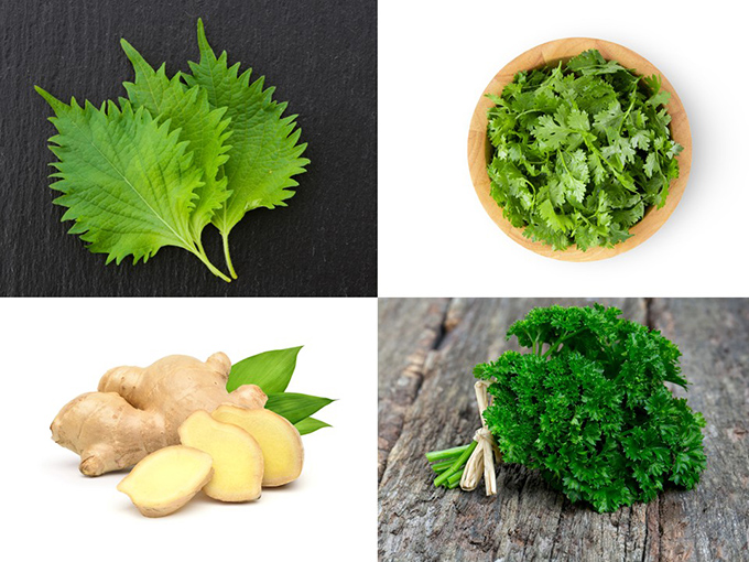 パクチーと三つ葉の香りサラダ〜減塩