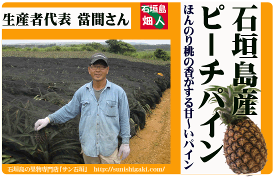 沖縄でおすすめのスイーツ(ピーチパイ)をご紹介！ | 食べログ