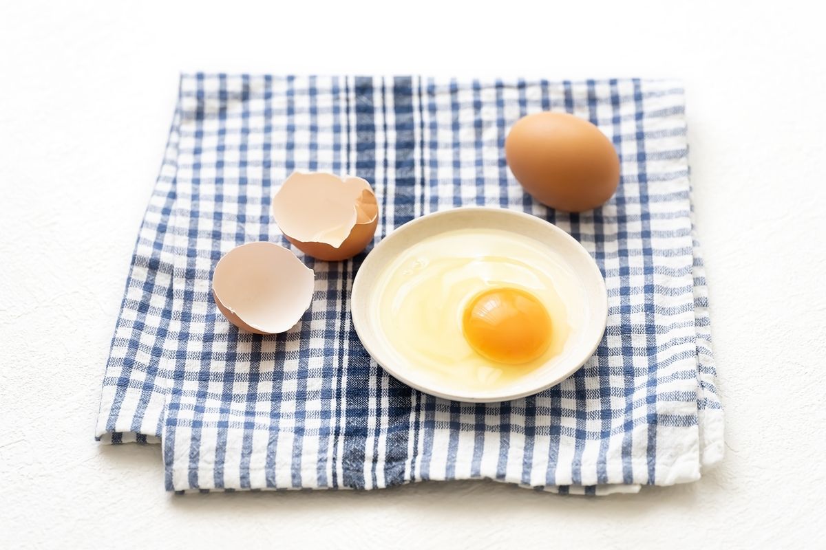 賞味期限切れの卵を捨てないで! その卵は安全に食べられる!東京ガス ウチコト