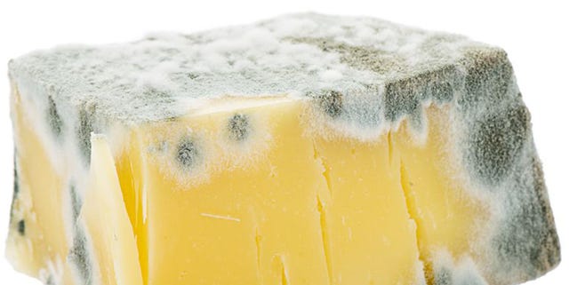 賞味期限が切れた食べ物、いつまでなら食べる？～納豆と牛乳の場合～味覚ステーション