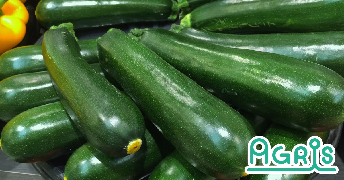 ズッキーニを病気から守る！知っておくべきズッキーニの病気6つとその対策産直プライム.labブログJA連携！産地直送通販なら産直プライム