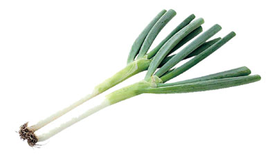 信長ねぎを買ってきた。 – KEISUI ART STUDIO