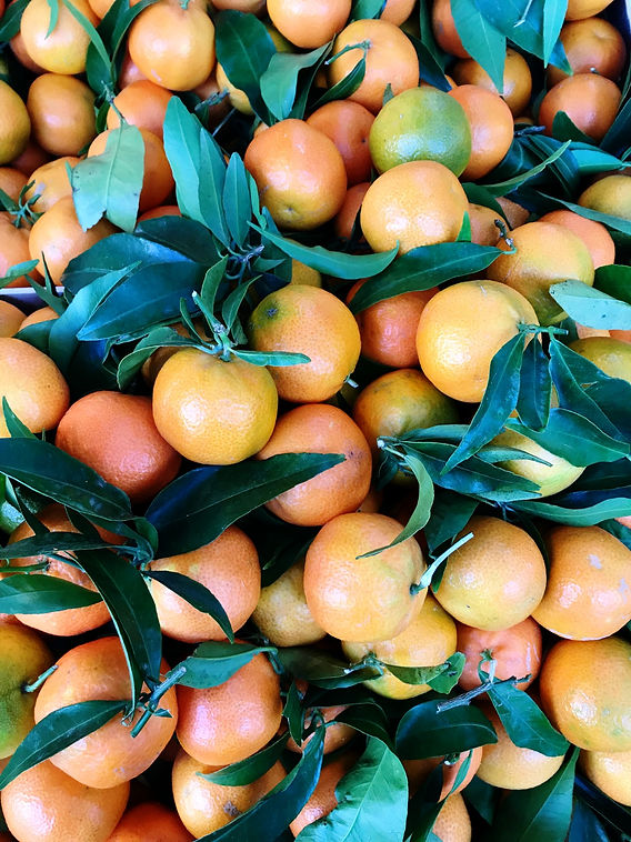 オーガニック フルーツスプレッド クレメンタインビオセボン オンラインストア