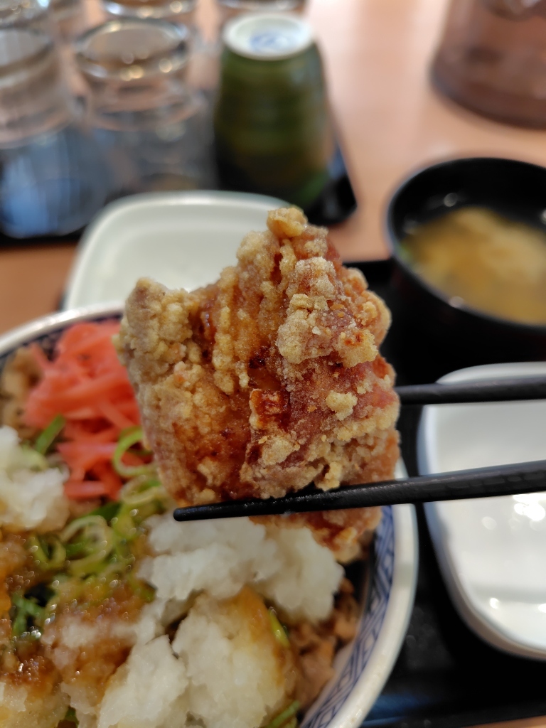 サッパリ系 吉野家・鬼おろし牛丼シリーズ わさび、ポン酢お口直し- YouTube