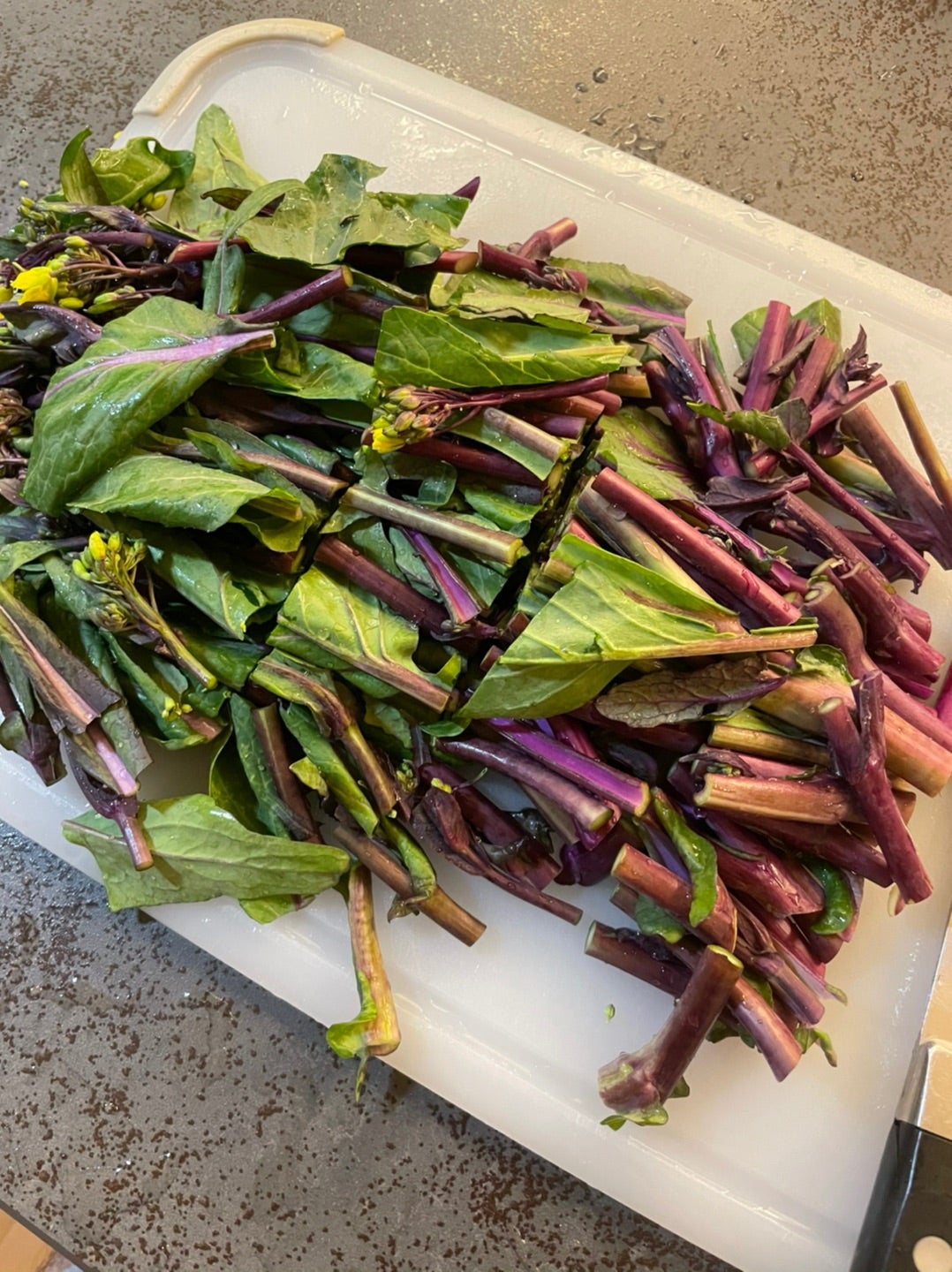 茎が紫色の菜の花 紅菜花の炒め物 by Keico_oクックパッド簡単おいしいみんなのレシピが392万品