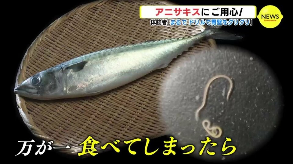 アニサキスによる食中毒に気をつけましょう！世田谷区公式ホームページ