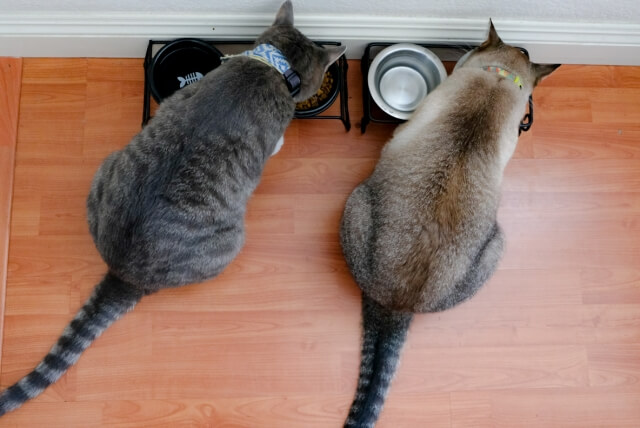 猫の食事コーナーのインテリア実例RoomClip ルームクリップ