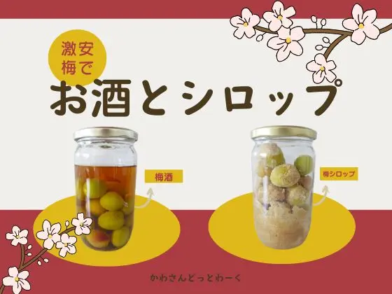 青梅シロップ漬けレシピ２種はちみつ漬けと甜菜糖漬け味くらべしてみた