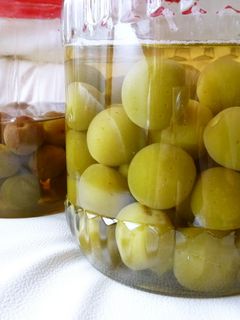 梅干しのはちみつ漬け