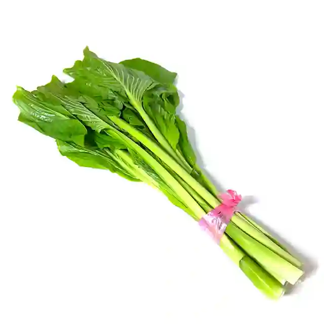 新鮮 期間限定雪うるい 山菜 うるい 1kg送料込み 農家