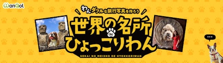 コーポ五月(埼玉県戸田市大字新曽)の物件情報｜いい部屋ネットの大東建託リーシング