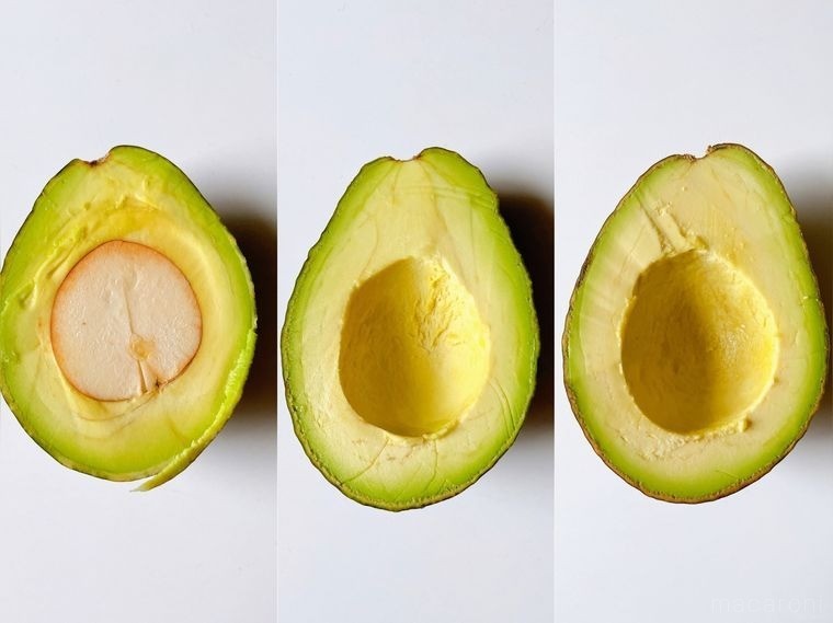 アボカド品種の選び方・各品種の特徴一覧