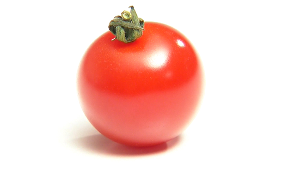 ミニトマトのヘタに白いふわふわしたのがついてます。これは何ですか？食べな- Yahoo!知恵袋