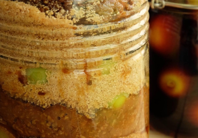 梅みそ作りの2つの方法は漬け込み式を推奨百梅紀行