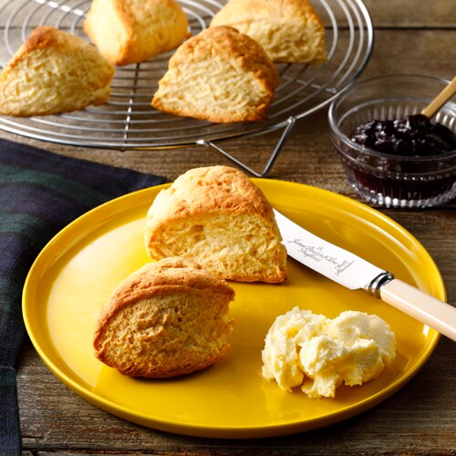 ホケミでスタバ♡ 材料4つ&トースターで簡単♪なのに味は極上の「スタバ風チョコスコーン」作ろう!『あたらしい日日』こんな時代のニューノーマルな暮らし方。食と農、生活情報をお届けします