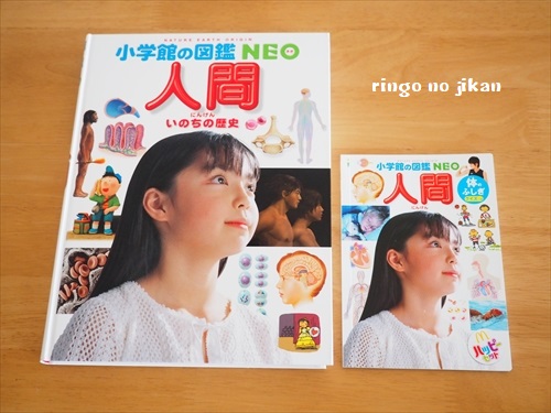 ハッピーセット 図鑑 歴代TikTok