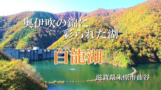 自衛隊京都地方協力本部のツイッターに | 内田あや