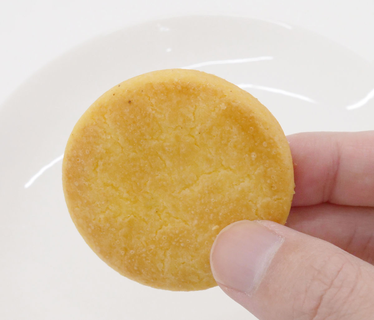 クッキー ビスケット Seasonal ソルティ 瀬戸内レモン 8枚入 6袋 東ハト - アスクル