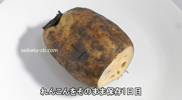 れんこん☆冷蔵保存 3日、2週間