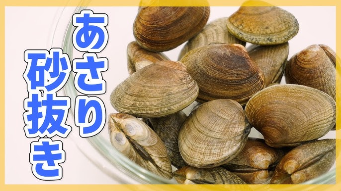 あさりの砂抜き方法は？保存方法やおすすめのレシピもご紹介