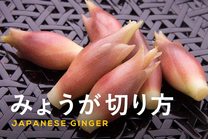 犬猫はみょうがを食べても大丈夫?辛み成分や食物繊維で胃腸に負担がかかる可能性ペットフード販売士マッサンの犬猫レシピ