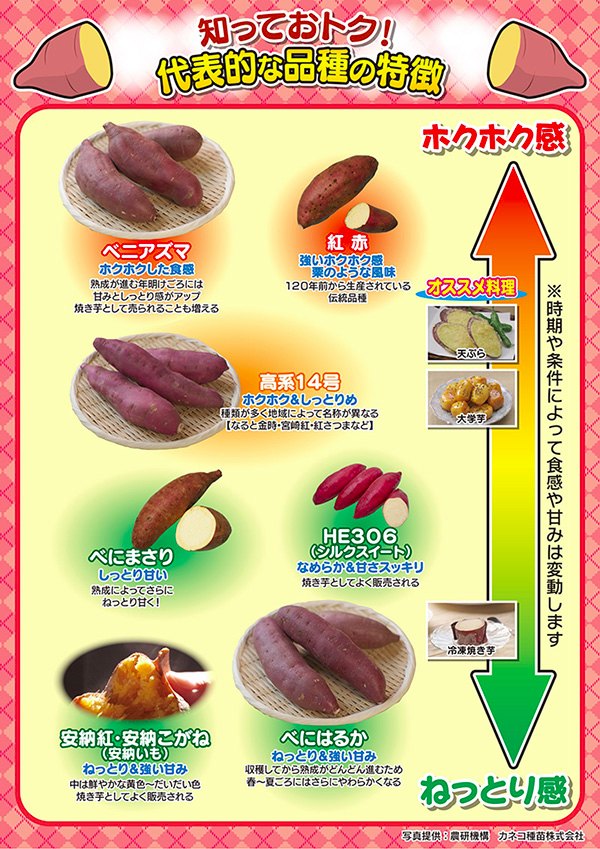 業務スーパーの冷凍さつまいもはストックしたいおいしさ！調理師がおすすめアレンジもご紹介 - macaroni