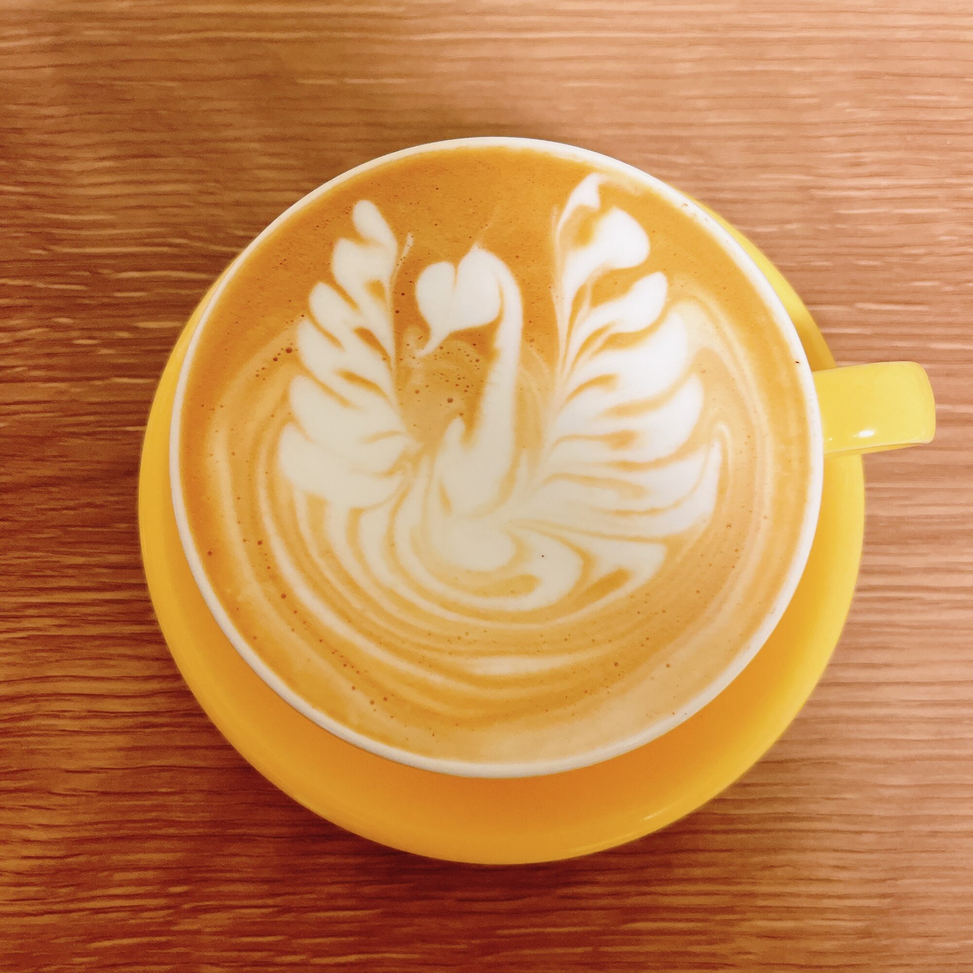 分かりやすい チューリップのラテアートのコツを動画と画像で解説 – ABUKU COFFEE & LATTEART