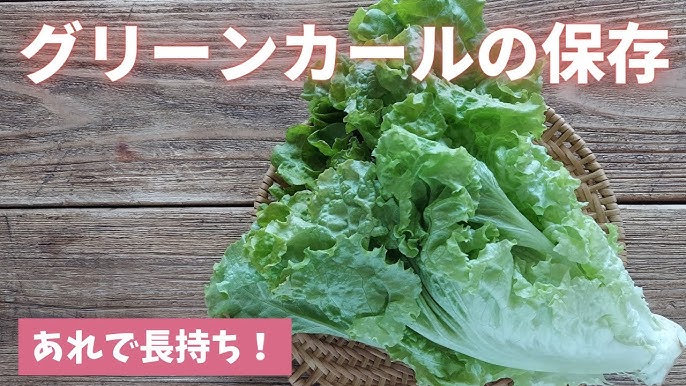 レタス、サニーレタス、グリーンリーフの保存方法