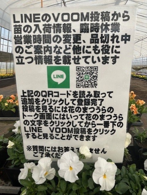 2022年も由仁町「花のまつうら」で野菜の苗の買い出し - 胡乱 うろん な日々