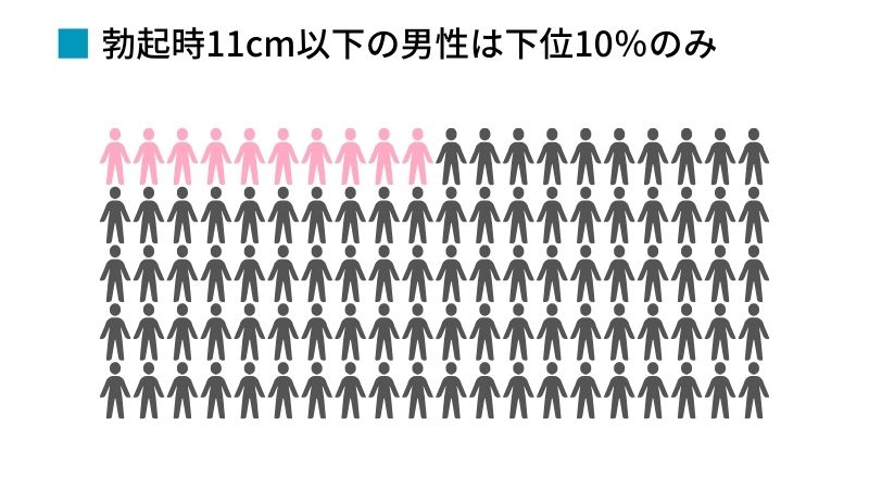 日本人の勃起時チン長は12cm弱！研究基づいたペニスの正確な長さ – メンズ形成外科