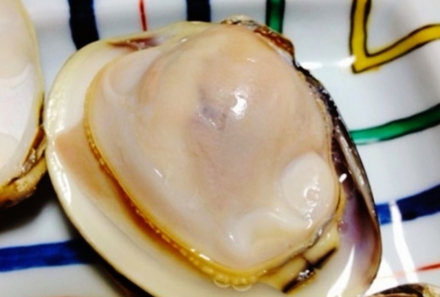 三重県桑名市はどんなところ？三重県在住者からみた桑名市の魅力や特徴