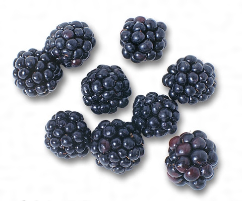 ブラックベリー：旬の果物百科