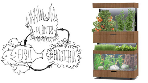 野菜水槽いけす・アクアインテリア・アクリル加工のプロフェッショナルアクア丸善