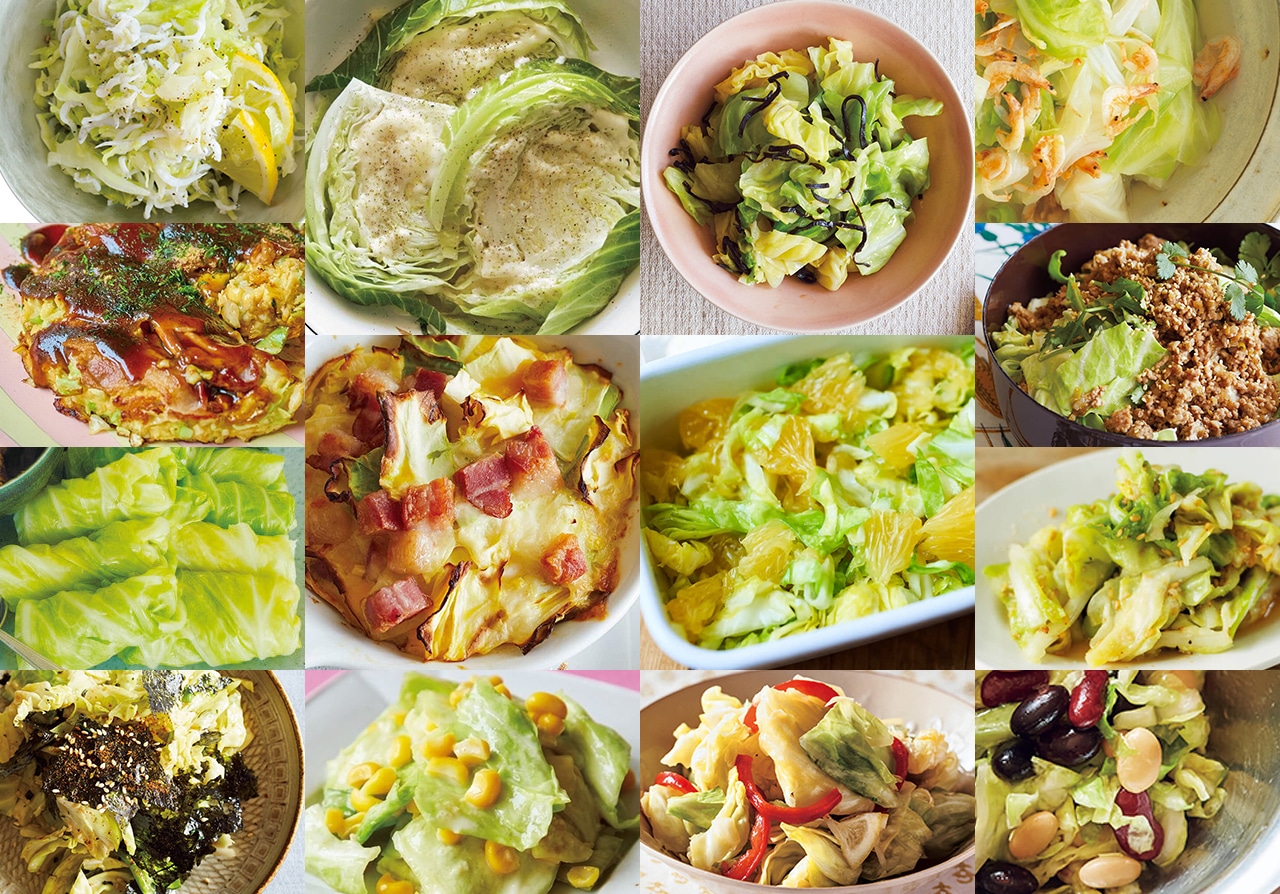 白菜 塩昆布 ツナ 和田明日香TikTok