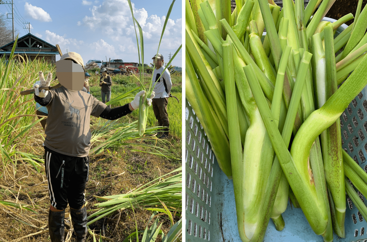 小出農園@koide2525farm• Instagram photos and videos