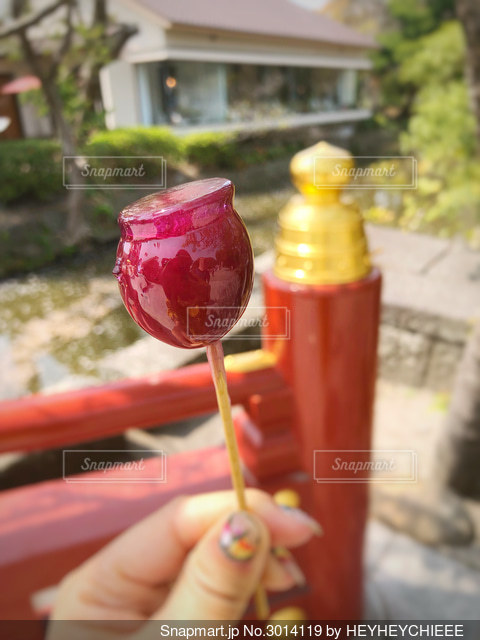 メニュー - 鮮度を1番に大切に考えた リンゴ飴屋