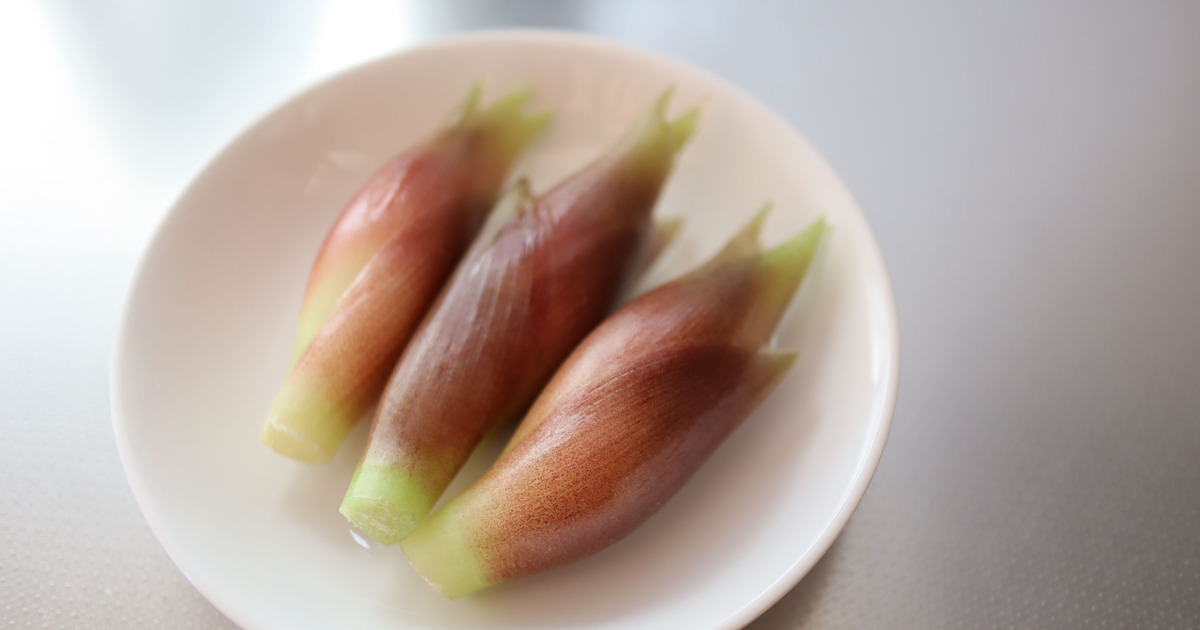 ミョウガ大量消費レシピ！薬味に煮物にサラダにお味噌汁ほか放送作家りんのブログ