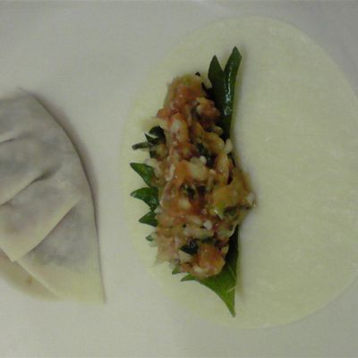 ニカイドウ直伝「大葉ギョーザ」