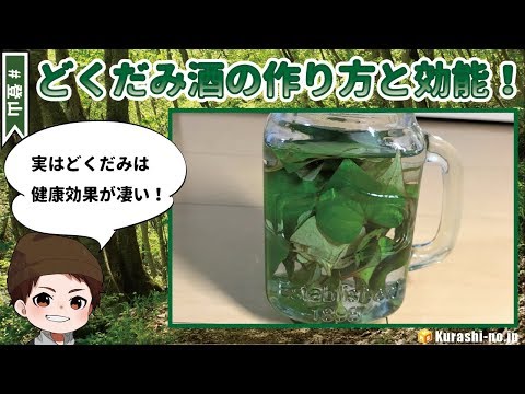 茶つみの里 国産 どくだみ茶 3g×50包入 ティーバッグ ノンカフェイン ドクダミ茶 無添加 健康茶 ドクダミ ティーパック :日本茶・健康茶専門店 茶つみの里 - 通販 - Yahoo!ショッピング