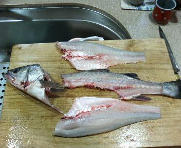 スズキの洗い、スズキの刺身を作りました