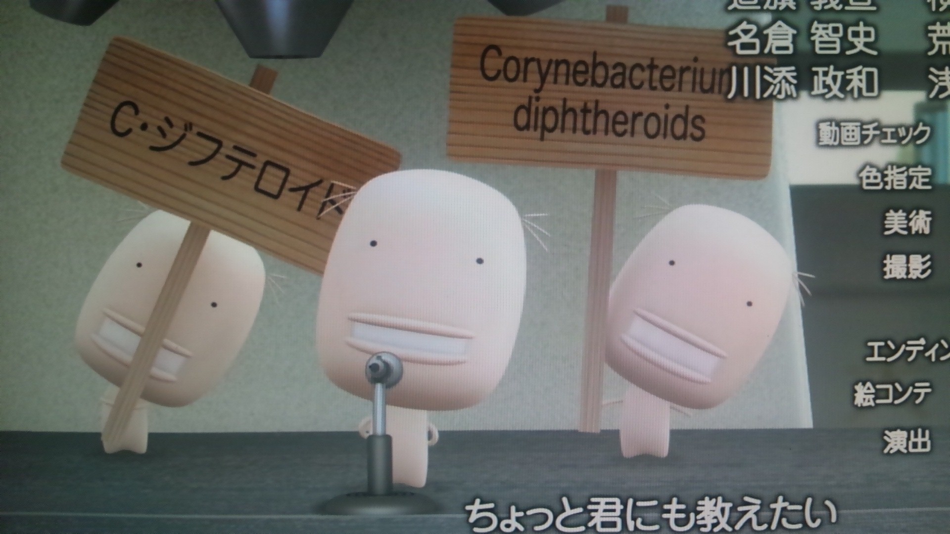 サッカロミセスセレビシエ酵母、3Dイラスト。顕微鏡真菌、パン屋または醸造酵母は、腸の正常な植物相を回復させるためにプロバイオティクスとして使用されていますの写真素材・画像素材Image 108106500