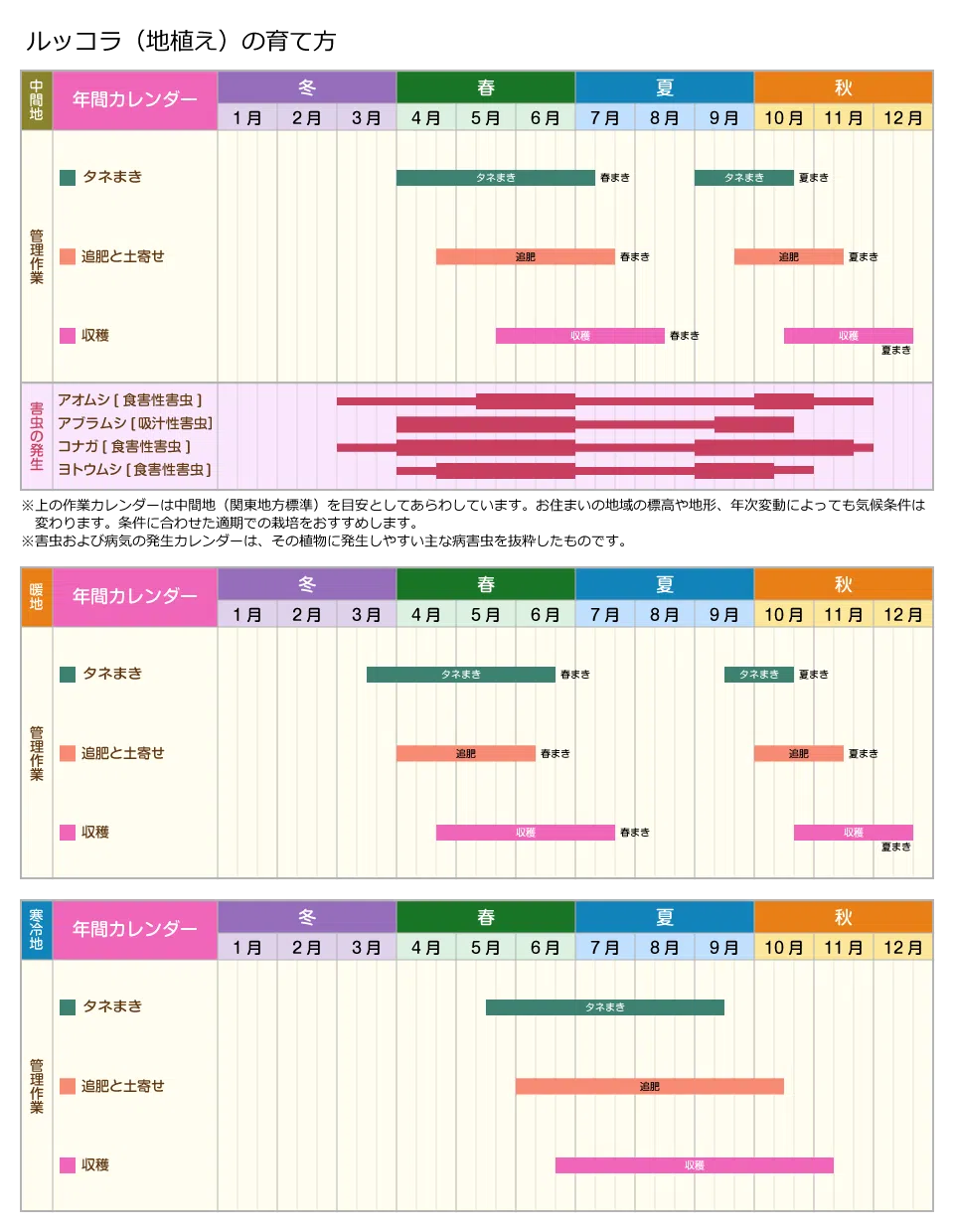 ルッコラの育て方