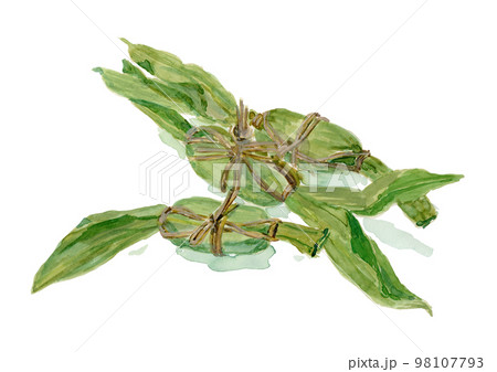 笹団子のイラスト - ONWAイラスト