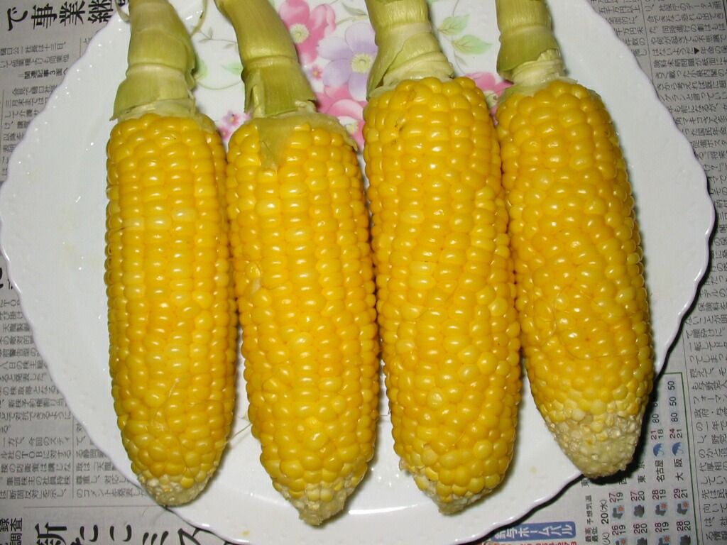 とうもろこしの美味しい茹で方 ためしてガッテンTikTok